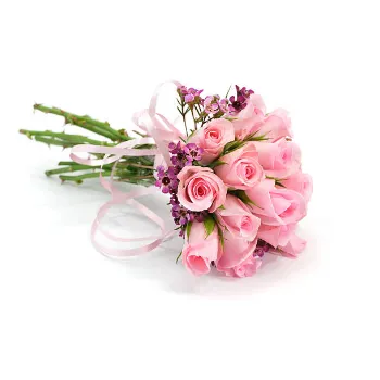 Fresh Pink Rose